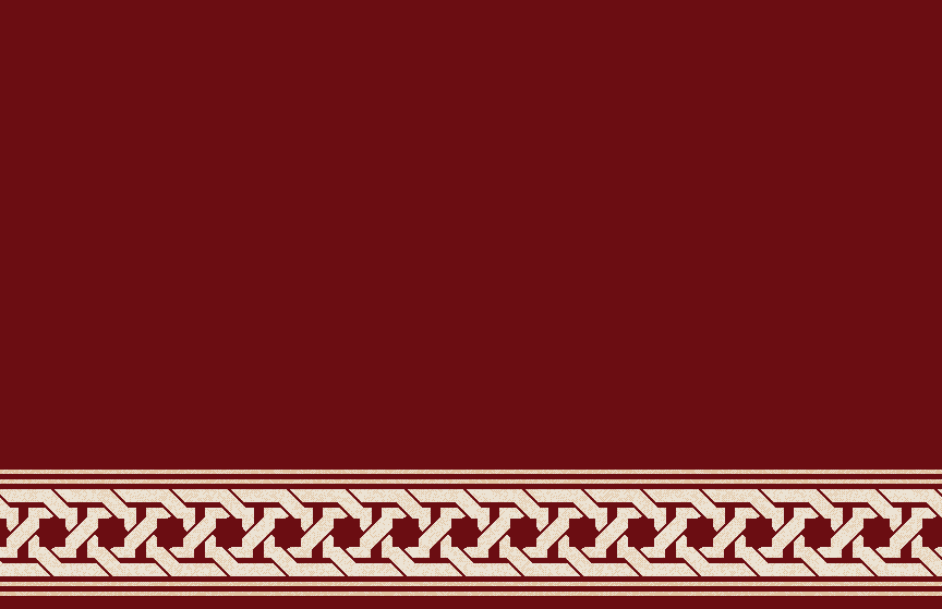 S132_BORDO