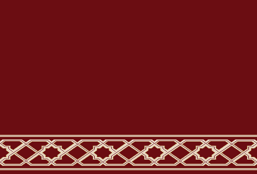 S204_BORDO